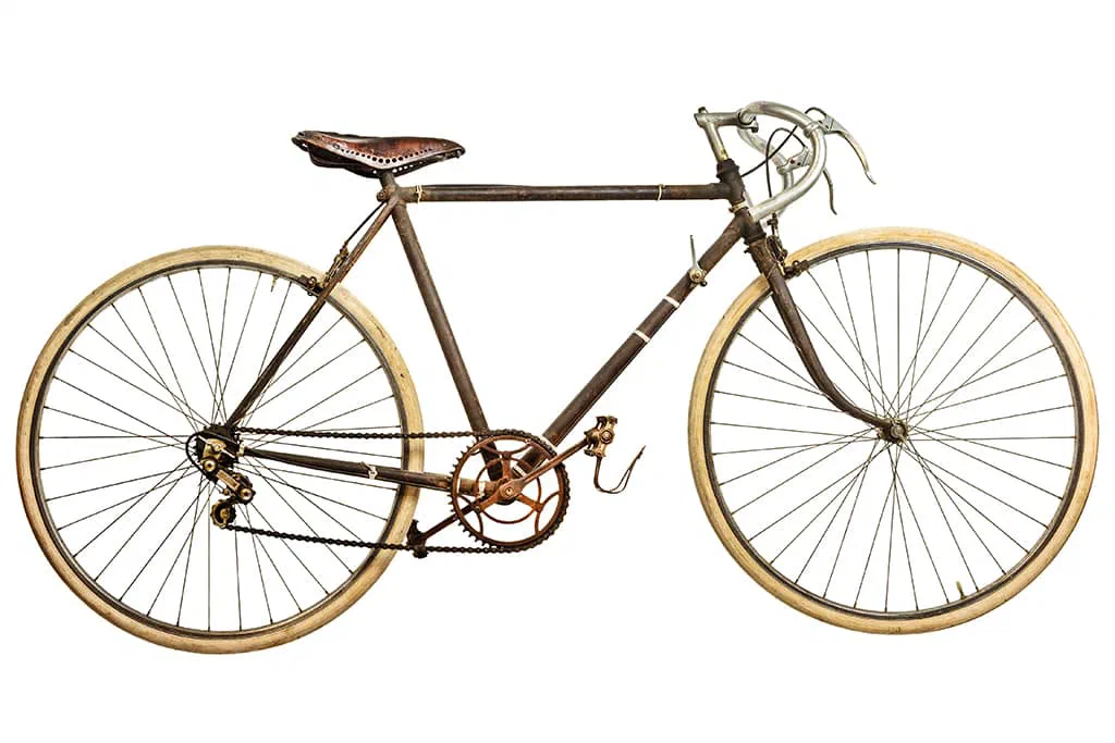 The Contoso MS